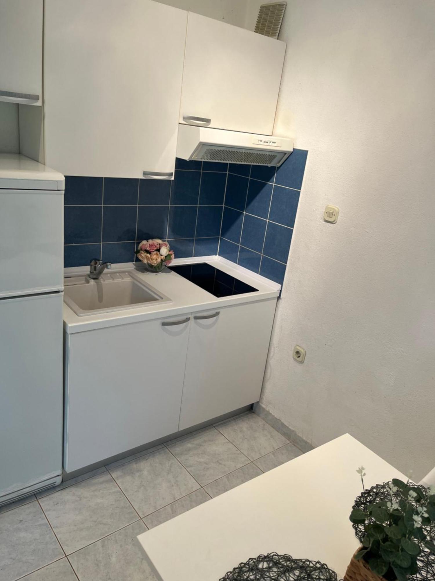 Apartments Despotovic Vis Eksteriør bilde